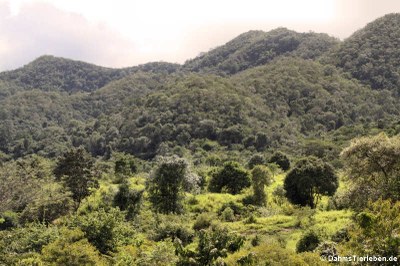 Blick in den Kui Buri National Park