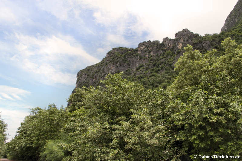 Khao Sam Roi Yot National Park