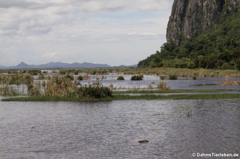 Khao Sam Roi Yot National Park