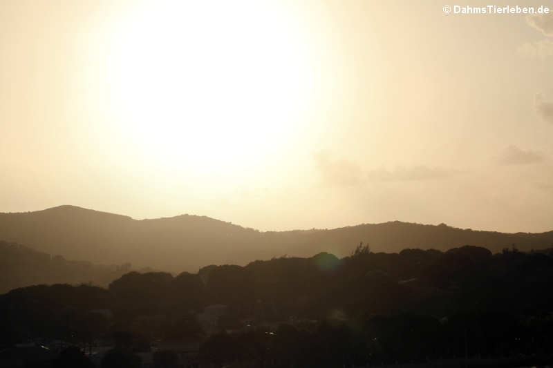Sonnenaufgang über Saint Croix