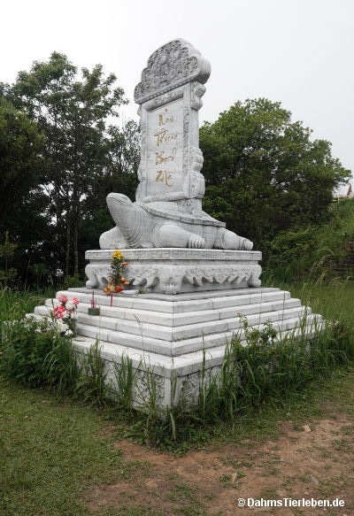 Stele auf einer Schildkröte