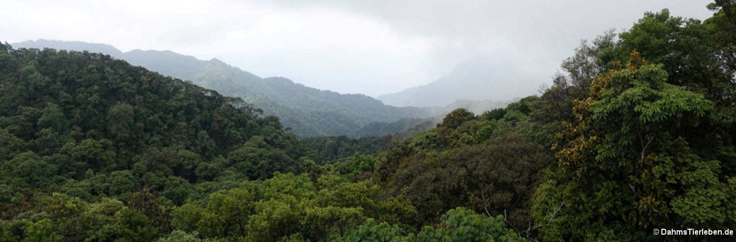 Blick vom
Hai Vong Dai Peak hai-vong-dai-4