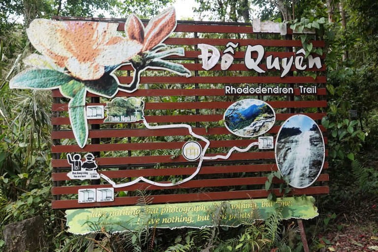 Informationstafel Rhododendron Trail