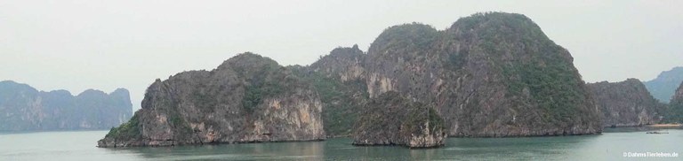 Halong-Bucht