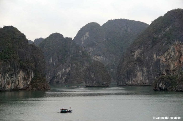 Halong-Bucht