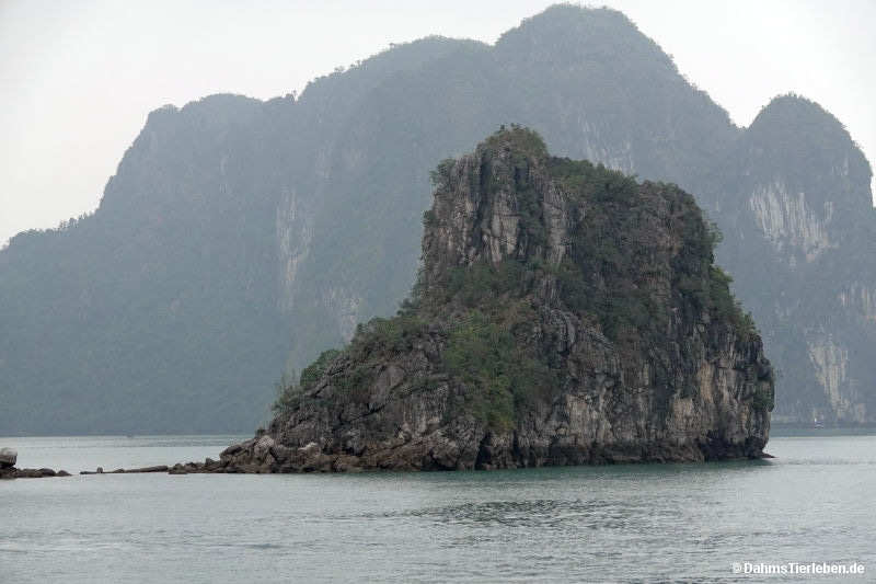 Halong-Bucht halong-bay-15