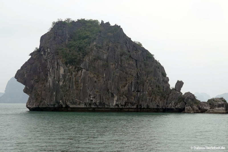 Halong-Bucht