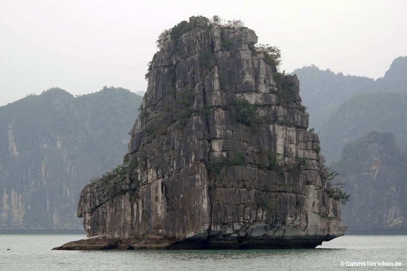 Halong-Bucht halong-bay-27