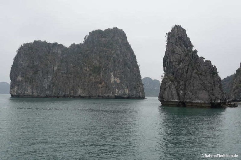Halong-Bucht