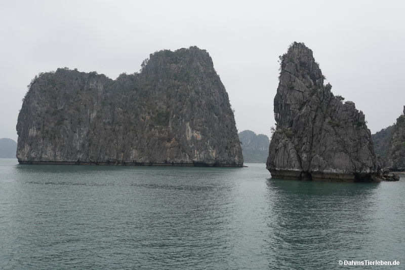 Halong-Bucht