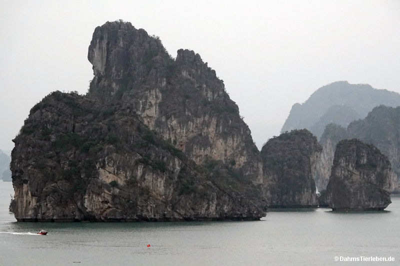 Halong-Bucht
