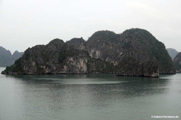 Halong-Bucht