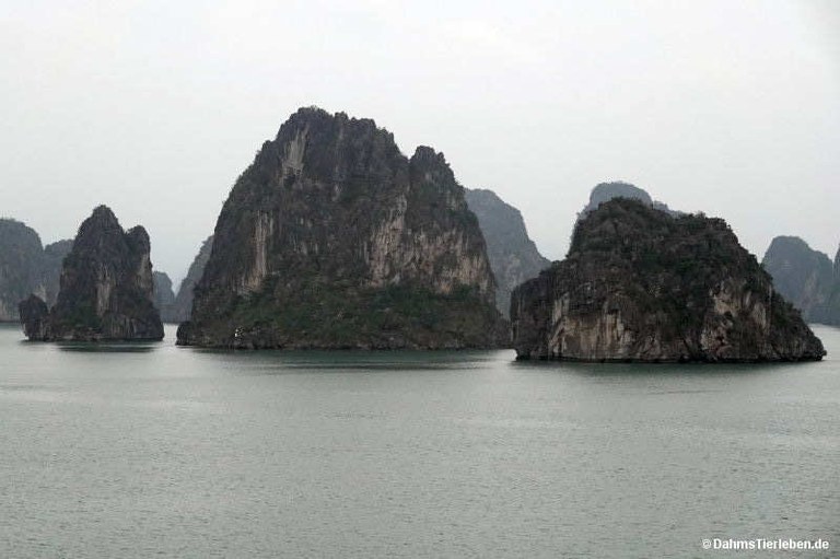 Halong-Bucht