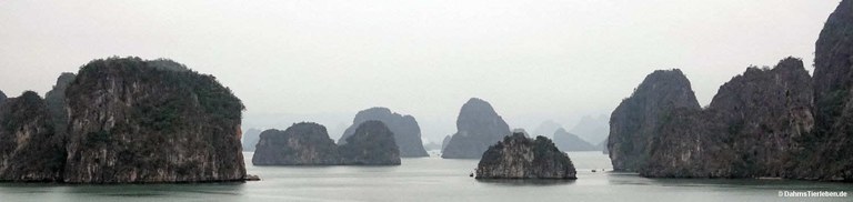 Halong-Bucht
