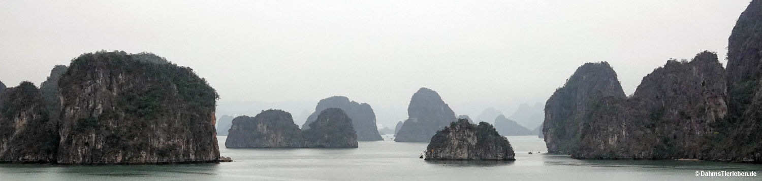 Halong-Bucht