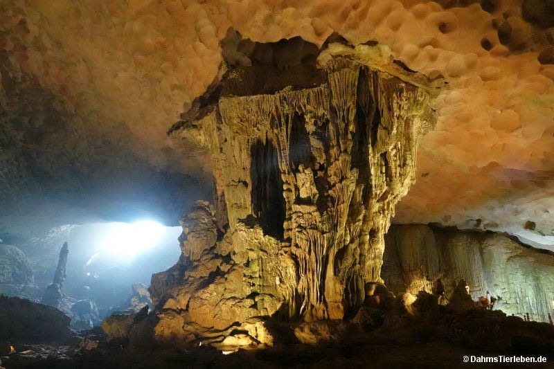 Hang Sung Sot-Höhle