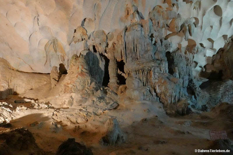 Sung Sot Höhle sung-sot-10