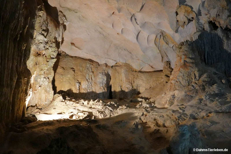 Hang Sung Sot-Höhle