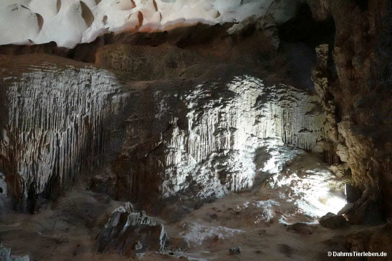 Sung Sot Höhle sung-sot-12