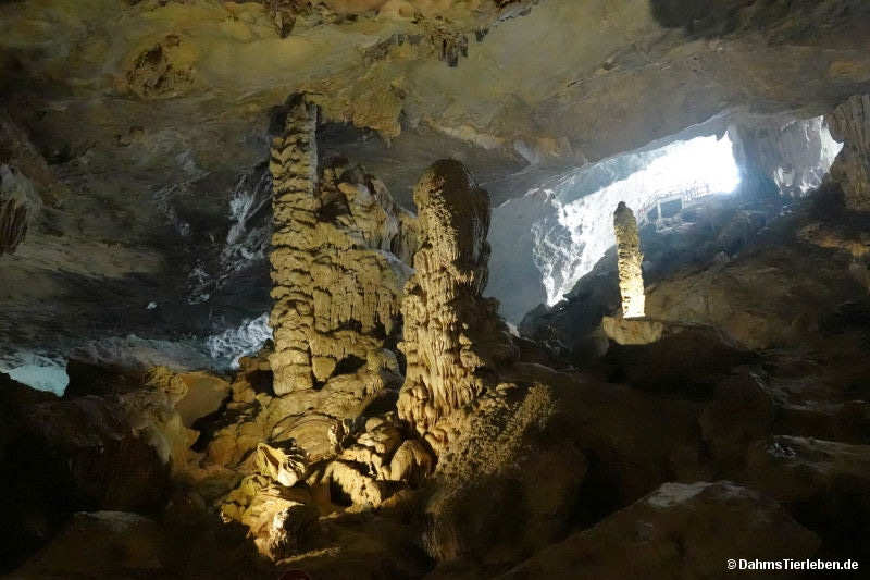 Hang Sung Sot-Höhle