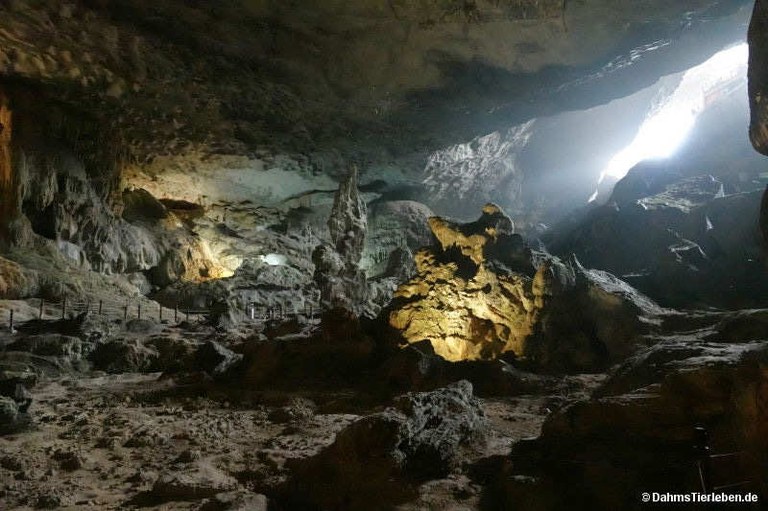 Hang Sung Sot-Höhle