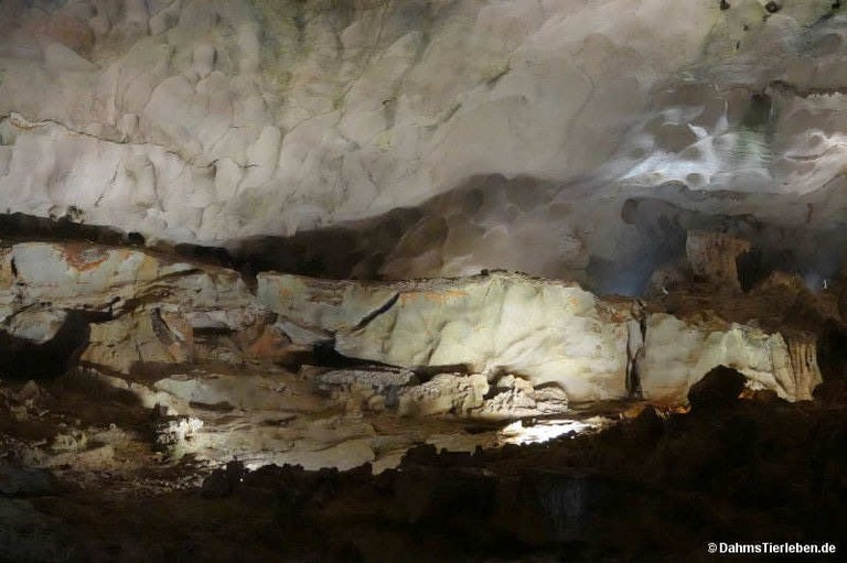 Hang Sung Sot-Höhle