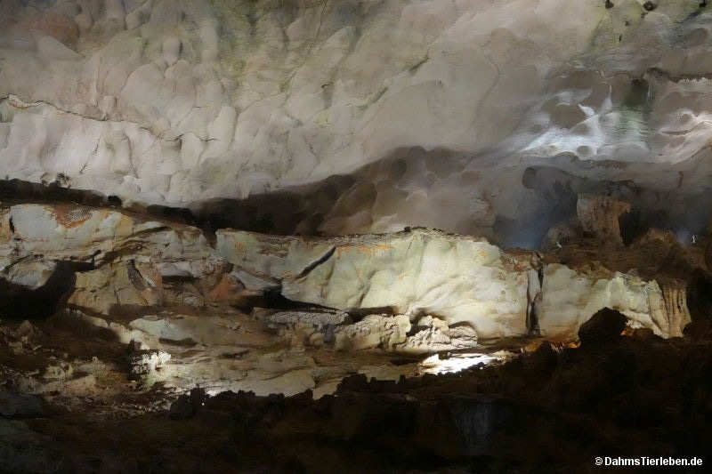 Hang Sung Sot-Höhle