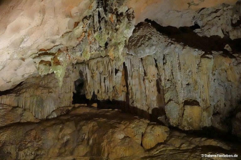 Hang Sung Sot-Höhle