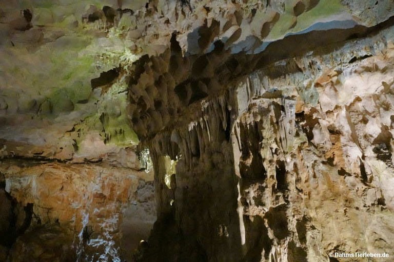 Hang Sung Sot-Höhle