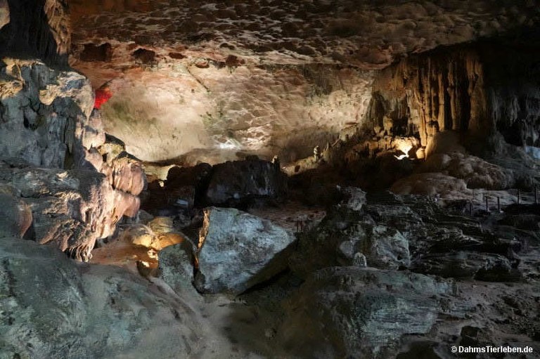 Hang Sung Sot-Höhle