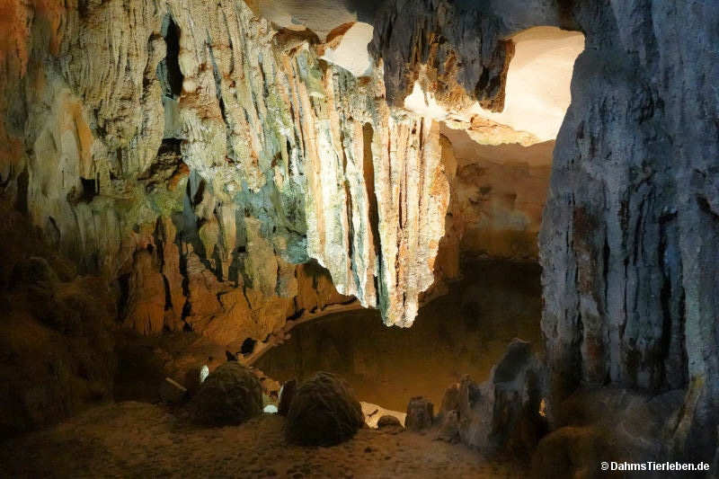 Hang Sung Sot-Höhle