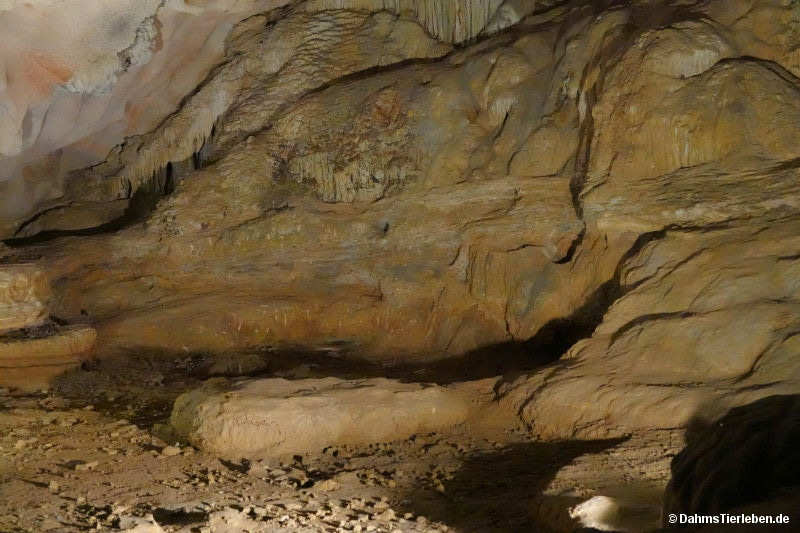 Hang Sung Sot-Höhle