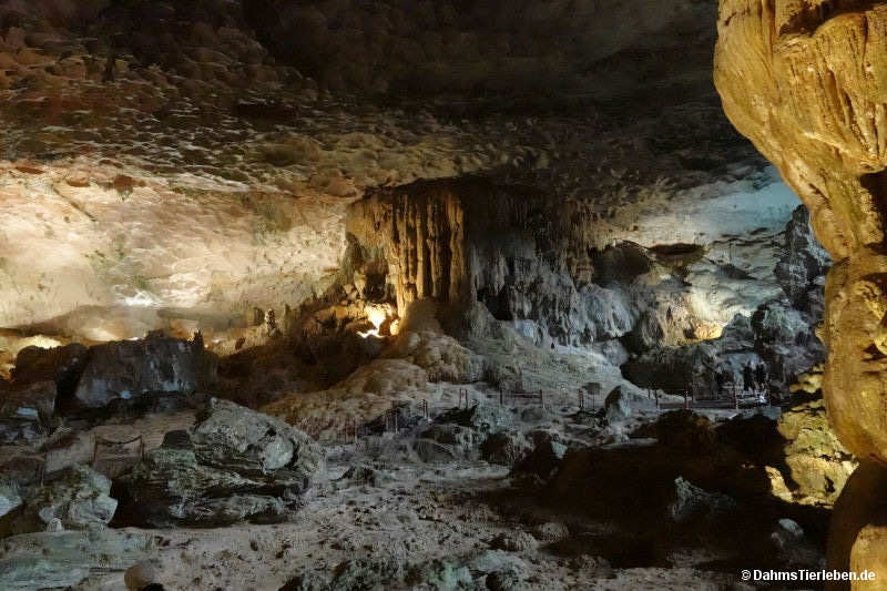 Sung Sot Höhle sung-sot-21