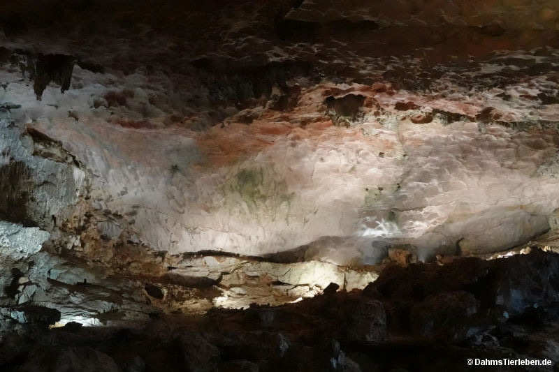 Sung Sot Höhle sung-sot-22