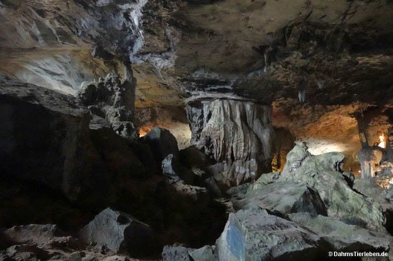 Hang Sung Sot-Höhle