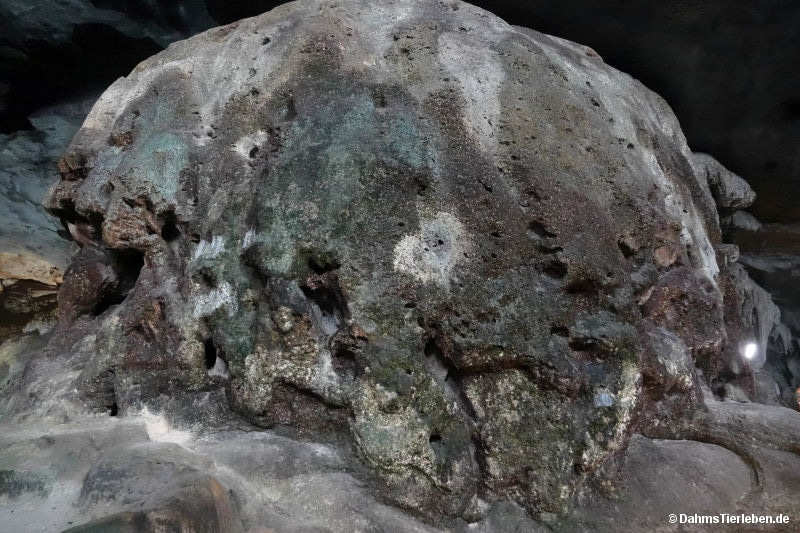 Hang Sung Sot-Höhle