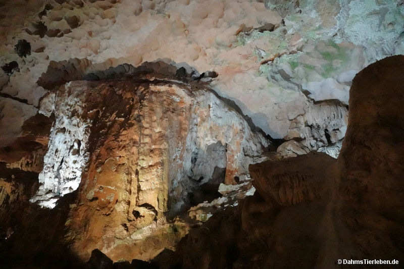 Sung Sot Höhle sung-sot-26