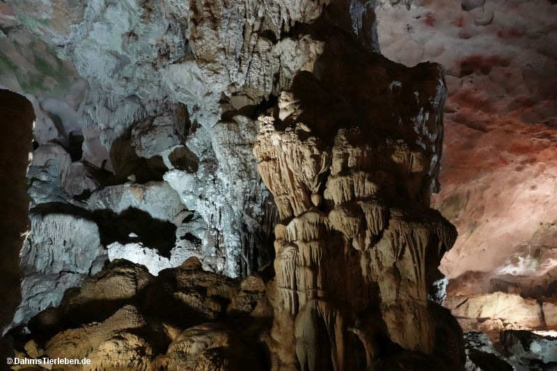 Sung Sot Höhle sung-sot-27