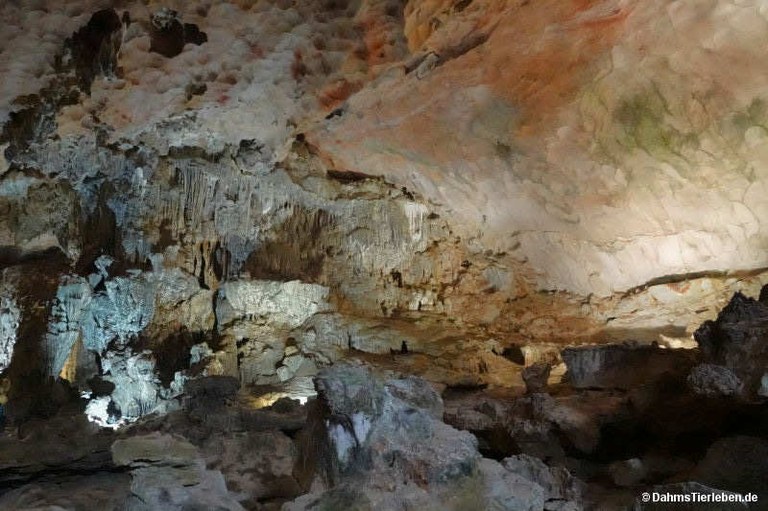 Hang Sung Sot-Höhle