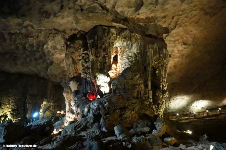 Hang Sung Sot-Höhle