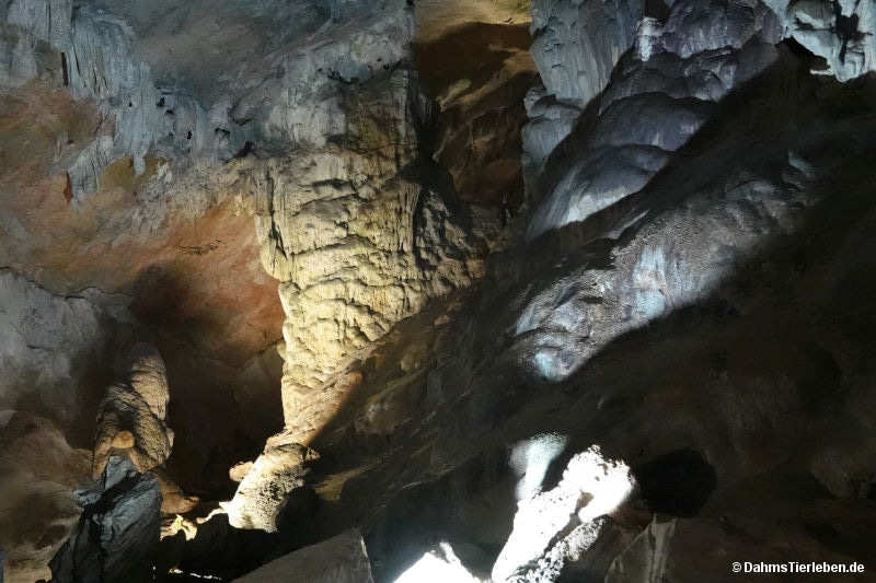 Sung Sot Höhle sung-sot-31