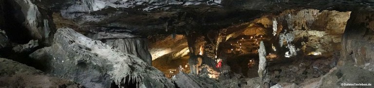 Hang Sung Sot-Höhle