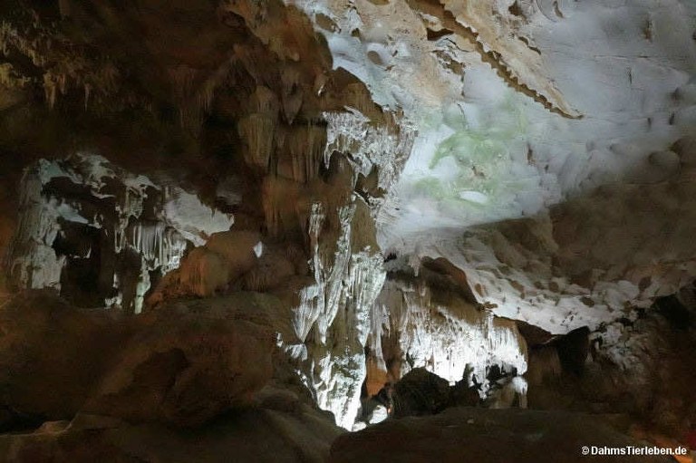 Hang Sung Sot-Höhle