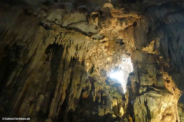 Hang Sung Sot-Höhle