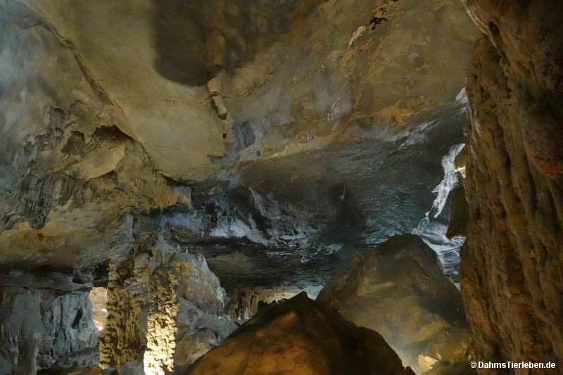 Sung Sot Höhle sung-sot-8