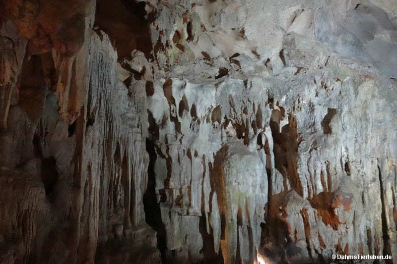 Hang Sung Sot-Höhle