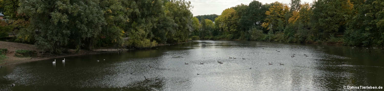 Der vom Beverbach aufgestaute See