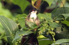 Weltvogelpark Walsrode