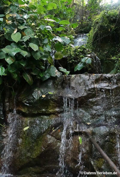 wasserfall-2