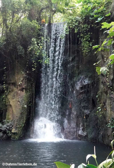 wasserfall-1